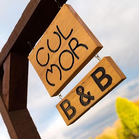 Cul Mor B&B Eccleshall Kültér fotó